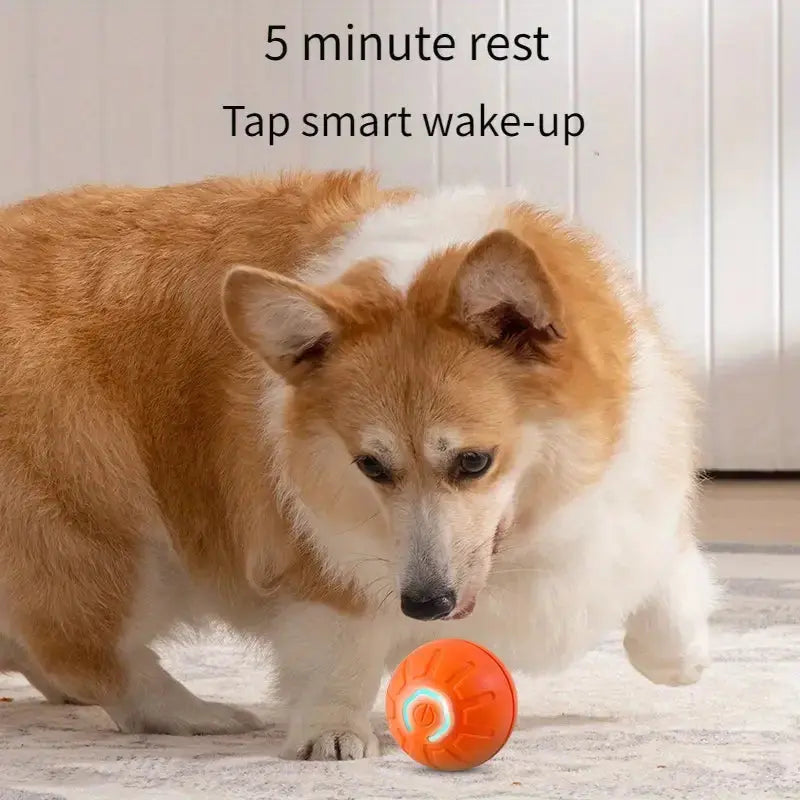 Rechargeable Silicone LED Interactive Pet Ball - Durable Chew Dog Toy with Auto Bounce Function