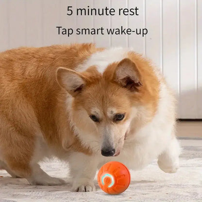 Rechargeable Silicone LED Interactive Pet Ball - Durable Chew Dog Toy with Auto Bounce Function