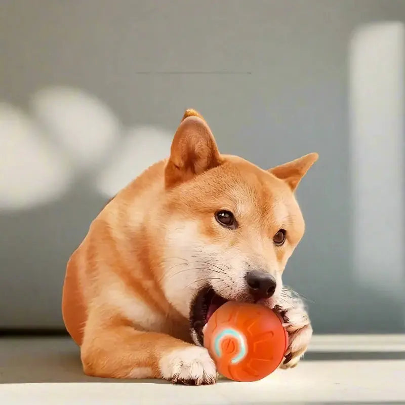 Rechargeable Silicone LED Interactive Pet Ball - Durable Chew Dog Toy with Auto Bounce Function