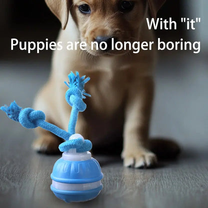 Smart Rolling Ball Toy for Dogs, Indoor Training Ball, Electric Pet Stimulation & Fun, Durable Bite-Resistant Design, Ideal for Boredom Relief